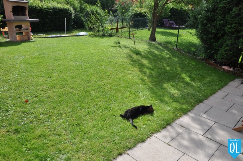 Sitzplatz der Beginn